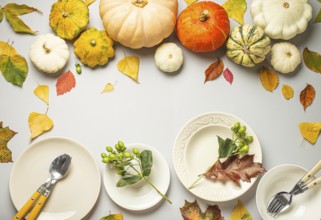 Thanksgiving festive table composition with different colourful pumpkins, autumn leaves, empty