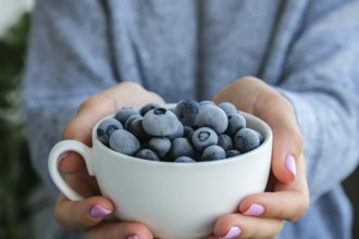 Woman holding bowl with Frozen blueberry fruits. Harvesting concept. Female hands collecting
