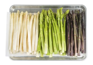 White, green and purple asparagus on a baking tray on a white background