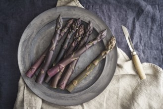 Fresh purple asparagus on an old pewter plate with an old paring knife on dark linen