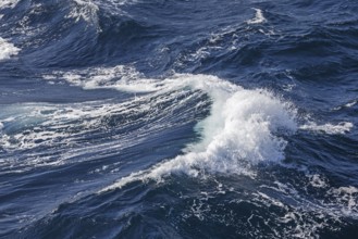 Wave with foam crest on the atlantic ocean during stormy wind and rough sea Rough sea with breaking
