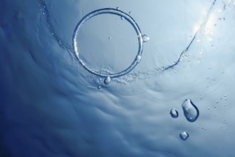 Bubble Ring Underwater, Ring Bubble