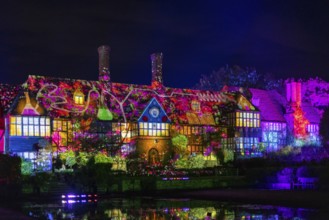 Wisley, Woking, Surrey, UK, November 19 : Christmas Glow 2022 at RHS Garden Wisley, Woking, Surrey,