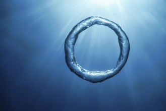 Bubble Ring Underwater, Ring Bubble