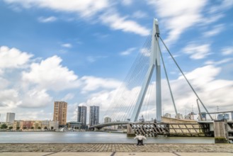 Rotterdam, Netherlands, August 6, 2016: The 800-metre long Erasmus Bridge spans the Maas River and