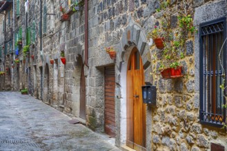 Old alley with doors to the houses