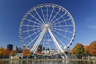 Autumn colours, Ferris wheel at the Basin Bonsecour, Old Montreal, Montreal, Province of Quebec,