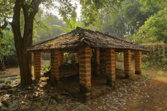 Cattle shed, sindhudurg, Maharashtra, India, Asia