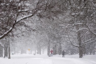 Heavy snow squalls of lake-effect snow falls over Springbank Park in London, Canada. Environment