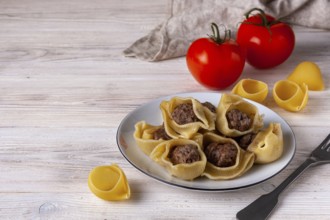 Freshly made pasta with minced meat in a plate on a white wooden background
