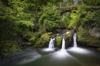 Three small waterfalls under a wooden bridge, surrounded by green vegetation, Mullerthal Region,