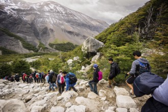 Hiker walking the W trek, Ascencio Valley, Torres del Paine National Park, National System of