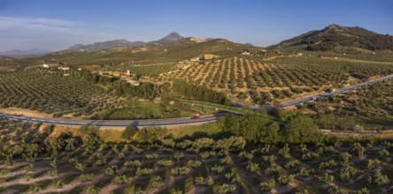 Metal bridge over the olive grove, Greenway of Oil Natural Trail, Alcaudete, Jaén province,
