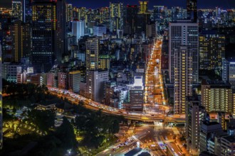Tokyo night view as seen from Tokyo Tower. Shooting Location: Tokyo metropolitan area