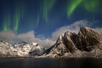 Northern Lights (Aurora borealis), Aurora Borealis, Lofoten, Norway