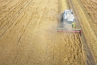 Combine harvester working on a wheat field. Combine harvester Aerial view