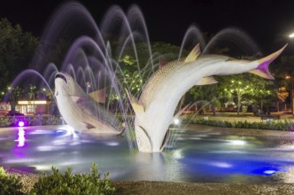 Liberty Square, piraputangas fish, located in the city of Bonito, Mato Grosso do Sul, Brazil