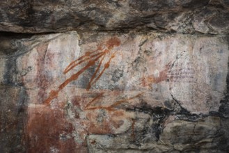 Aboriginal rock carvings, Kadadu National Park, Ubirr, or Obiri Rock, Northern Territory, Australia