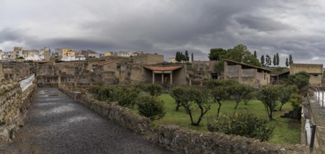 Ercolano, Italy, 25 November, 2023: orchard and street in the excavated ancient Roman city of