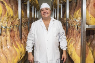 Man controlling the curing of spanish jamon. Food industry concept