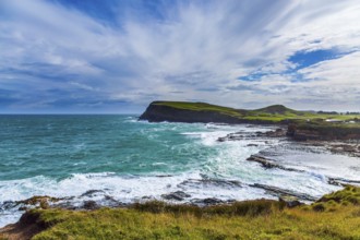 The majestic and cold beauty of the New Zealand south. Caitlins Scenic Road. Sunset of South island