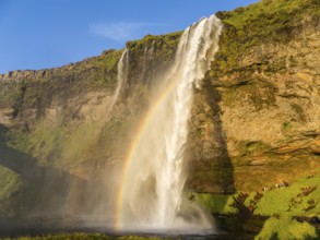 Rainbow at Seljalandsfoss waterfall, South Iceland, Iceland