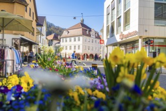 Flowerbed in the foreground of a busy shopping street, framed by people and buildings, Nagold Town