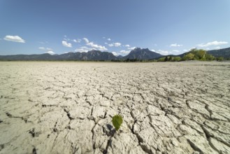 Cracked, dried out ground, waterless Forggensee in spring, behind it Tegelberg massif and Säuling,