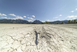 Cracked, dried out ground, waterless Forggensee in spring, behind it Tegelberg massif and Säuling,