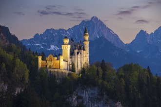 Illuminated castle in front of an impressive mountain landscape, Neuschwanstein, Schwangau near