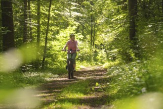 Cyclist enjoying a sunny forest path surrounded by lush greenery, Gechingen, Black Forest, Germany