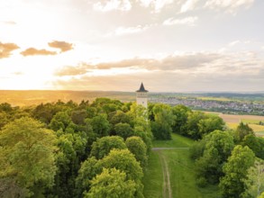 Tower at the edge of the forest, framed by trees, in the soft light of sunset, Engelbergturm,