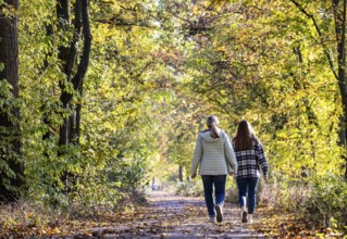 A walk through a colourful autumn forest. Two young woman on a circular path on the banks of the