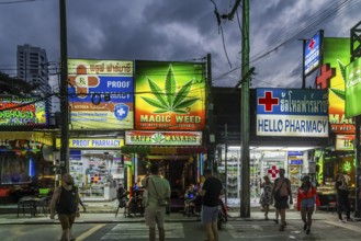 Legalisation of narcotics in Thailand. Cannabis is offered for sale in many places. Bangla Walking
