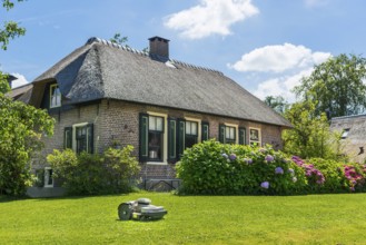 Thatched roof house, house, farmhouse, village, village, mowing robot, lawn, flowers, well-kept,