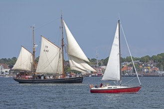 Sailing ship Seute Deern, sailing boat, Laboe, Kieler Woche, Kiel Fjord, Kiel, Schleswig-Holstein,