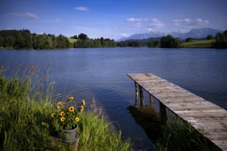 Bathing jetty, jetty, wooden jetty, jetty, leads into a lake, bathing lake, Schwaltenweiher near