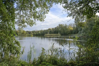 Pond, Deetzer Erdlöcher, Groß Kreutz, Brandenburg, Germany