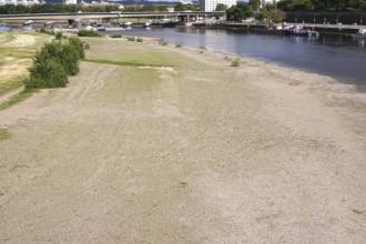 Drought, Elbe in Dresden with low water, end of May 2025, Saxony, Germany
