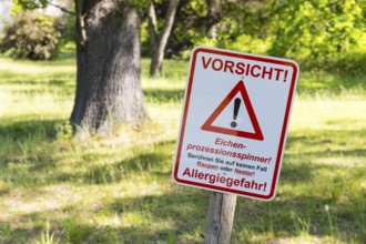 Caution sign, Beware of the oak processionary moth (Thaumetopoea processionea) in Wachwitzer