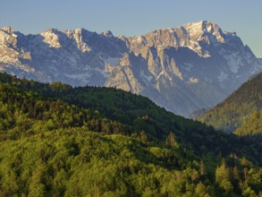 Aerial view, trees, forest, light green leaves, morning light, mountains, sunny, spring, near