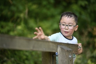 Child, boy aged 5, multi-ethnic, playing with marbles on XXL marble run, NATURATUM adventure forest