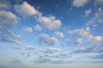 Fleecy clouds adorn the blue evening sky