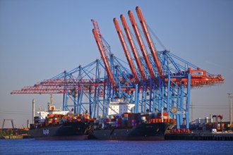 Container ships at the Tollerort container terminal in the Port of Hamburg, Germany