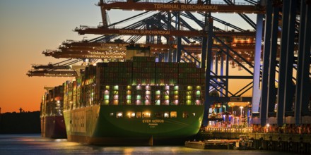 Container terminal Burchardkai with full container ship Ever Genius from Panama in the evening,