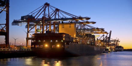 Container ships at the Eurogate container terminal in the evening with an atmospheric sunset,