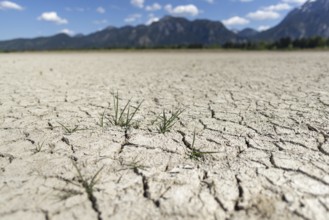 Cracked, dried out ground, waterless Forggensee in spring, behind it Tegelberg massif and Säuling,