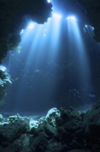 Diver swimming in cave, underwater, light rays, sun rays, dive site Shaab Claudia reef, Red Sea,