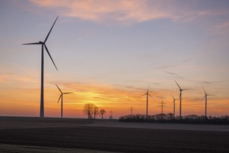 Wind farm in front of a dramatic sunset sky with trees, near Ulm, Swabian Alb, Baden-Württemberg,
