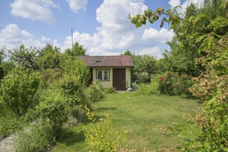 Allotment garden, colony Papestraße, Tempelhof-Schöneberg, Berlin, Germany